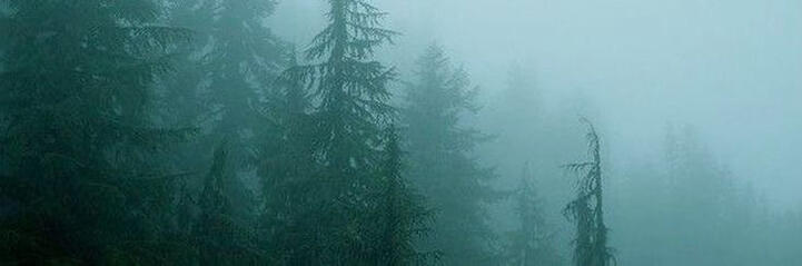 About me !! (/≧▽≦)/