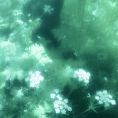 More information ! (★‿★)